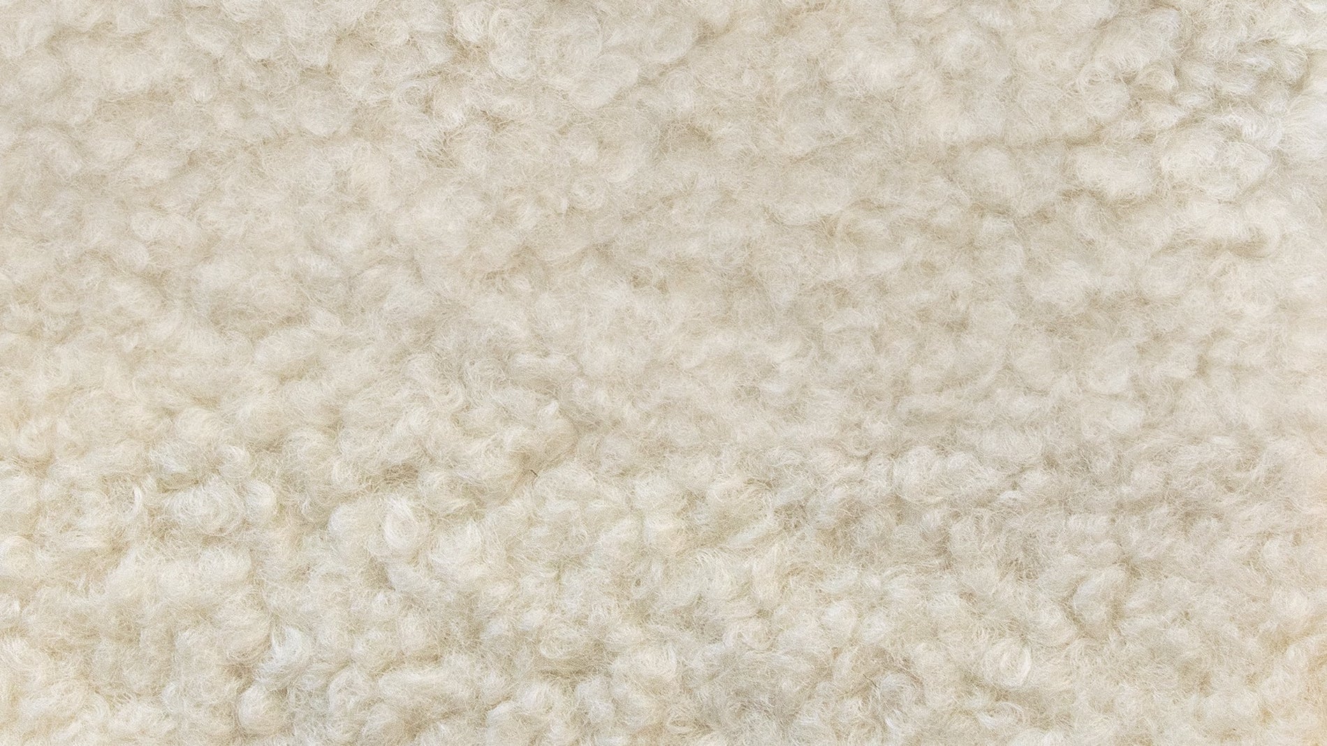 Swatch Shearling_image