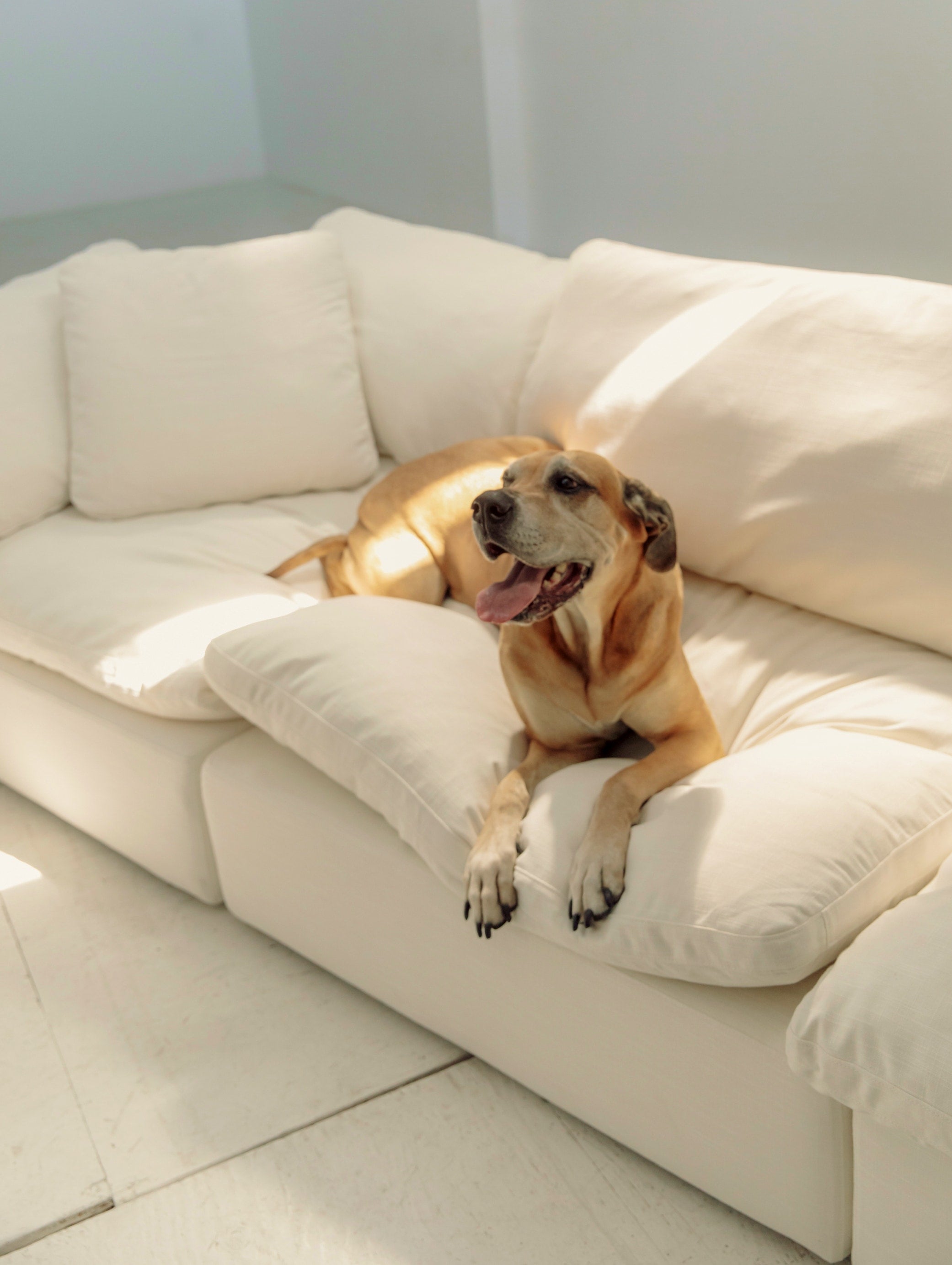 Movie Night™ 4-Piece Modular Sectional, Standard, Cream Linen