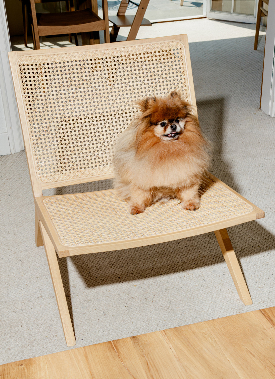 Sundays Company Canada & USA