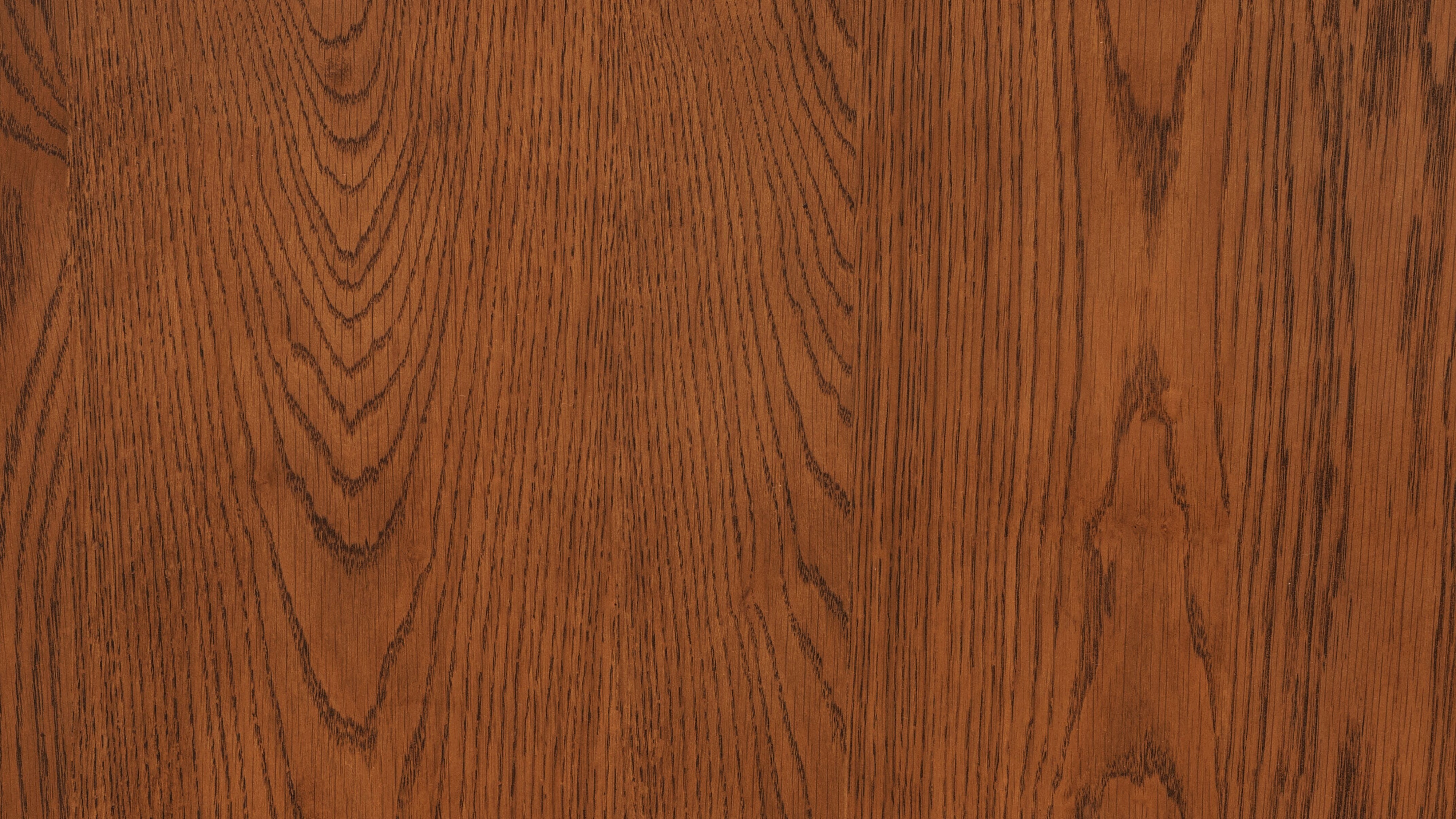 Form Storage Bed, Queen, Stained Walnut - Sundays CompanyBED-JU-001-116-0