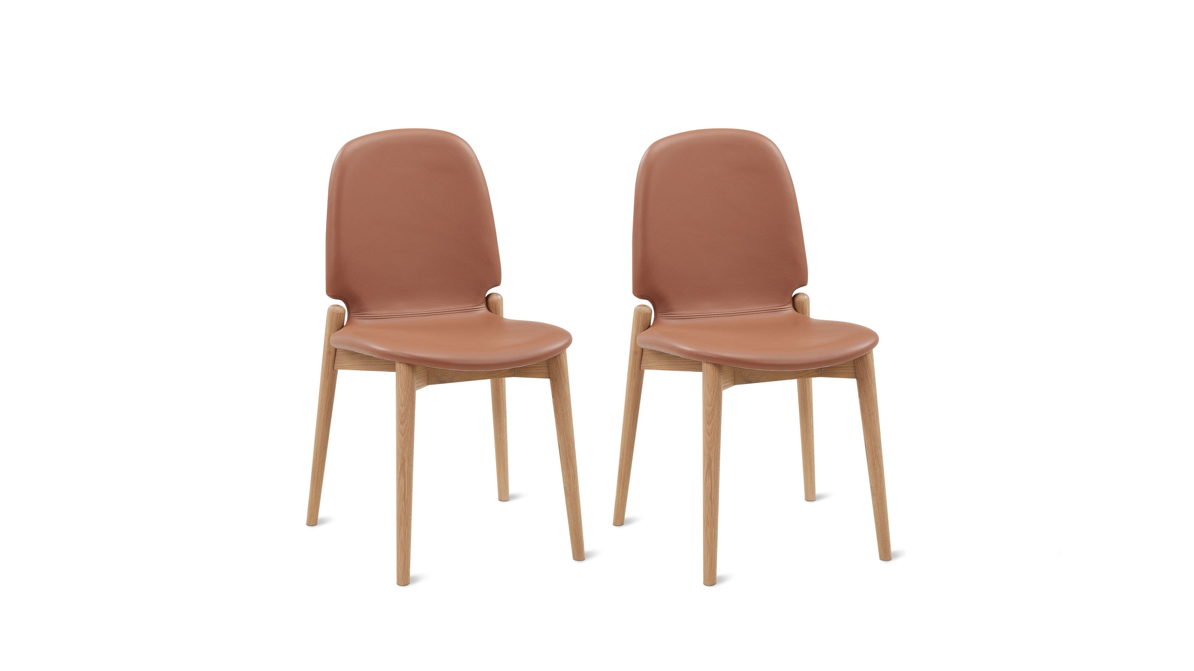 Dine In Dining Chair (Set Of Two), Oak/Pecan - Sundays CompanyDNC-YC-001-024