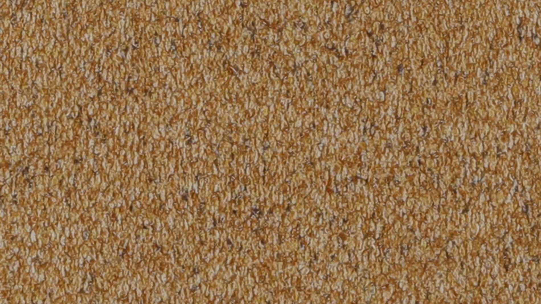 Swatch Dandelion_image