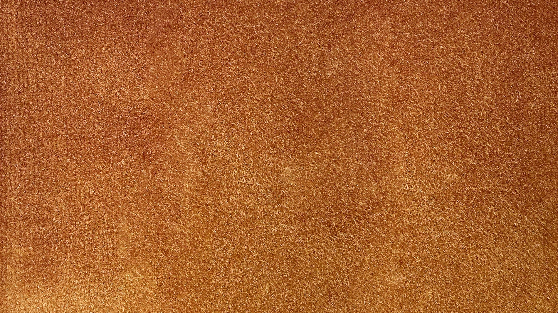 Swatch Butterscotch_image