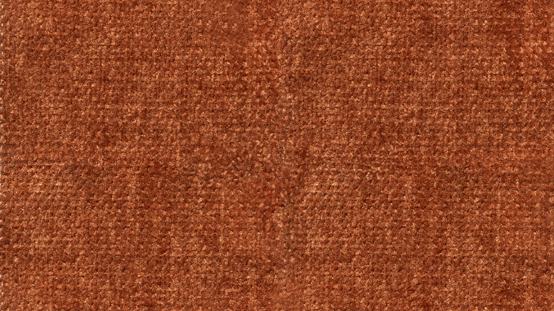 Swatch-Jm-Harvest_image