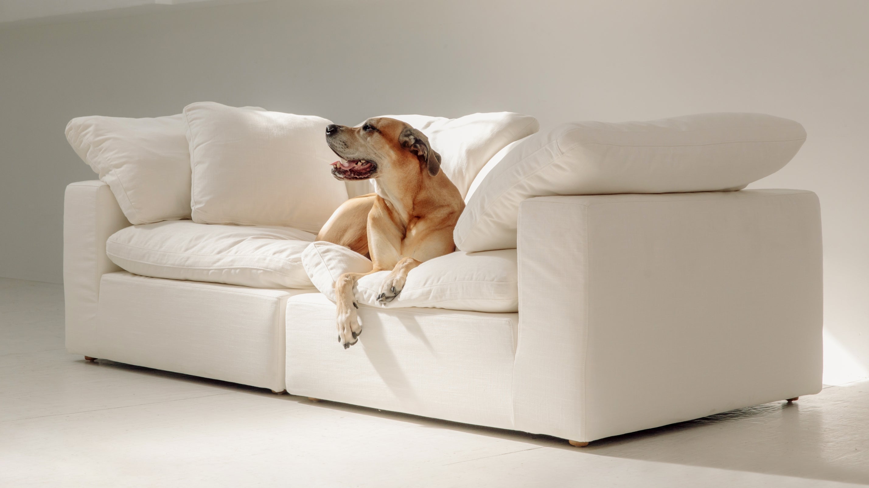 Movie Night™ 2-Piece Modular Sofa, Standard, Cream Linen - Image 2