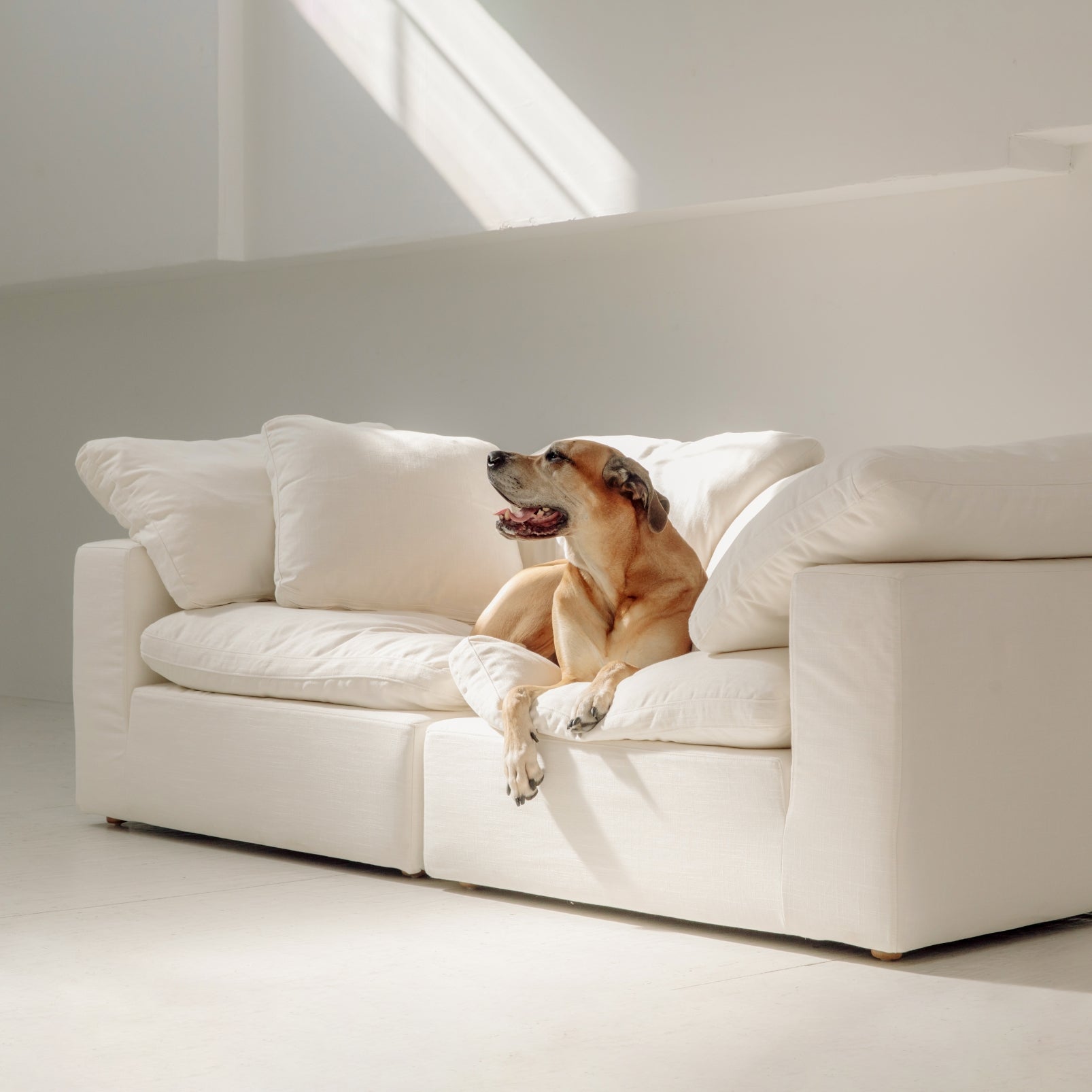 Movie Night™ 2-Piece Modular Sofa, Standard, Cream Linen - Image 11