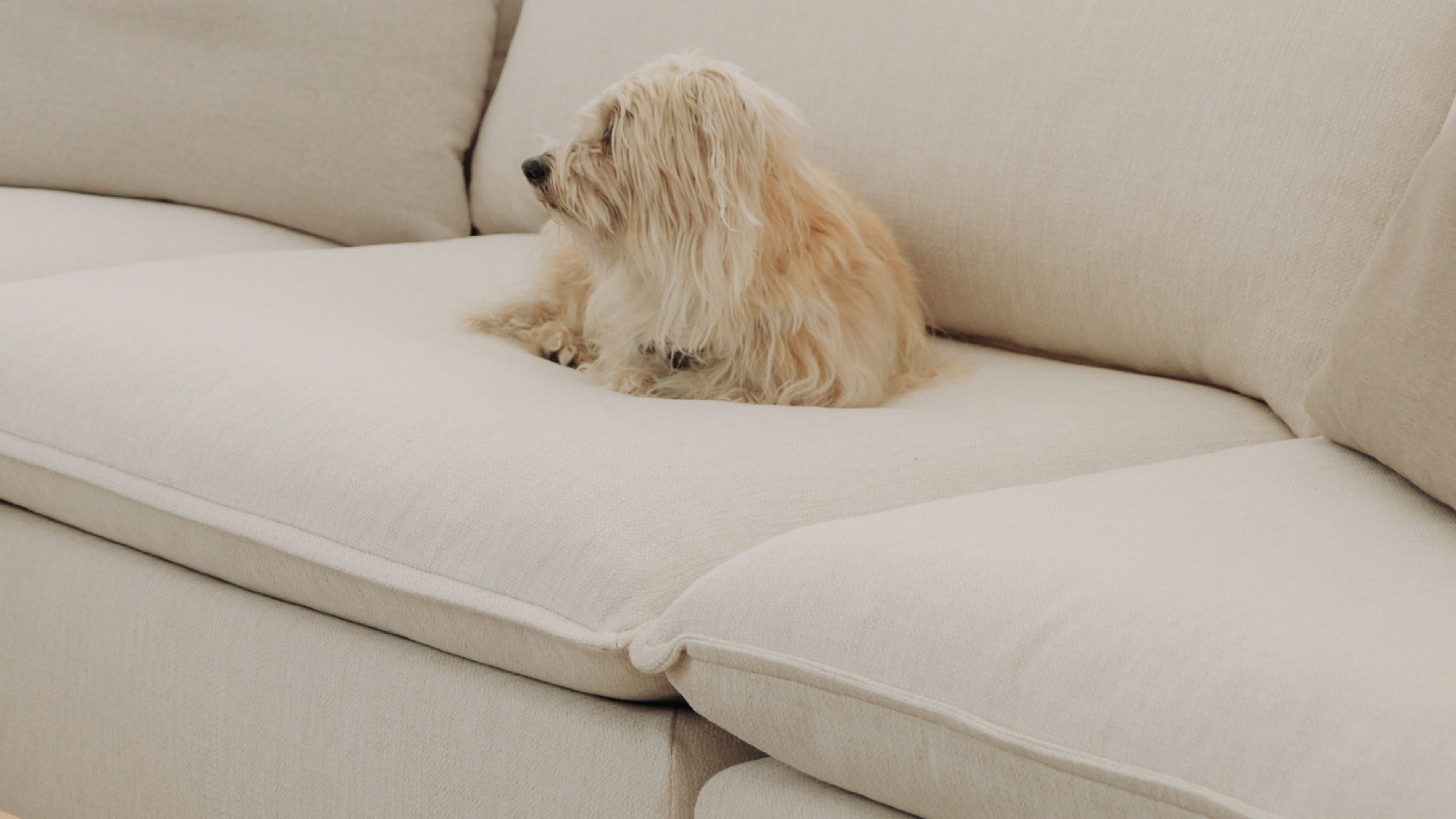 Chill Time 2-Piece Modular Sofa, Birch