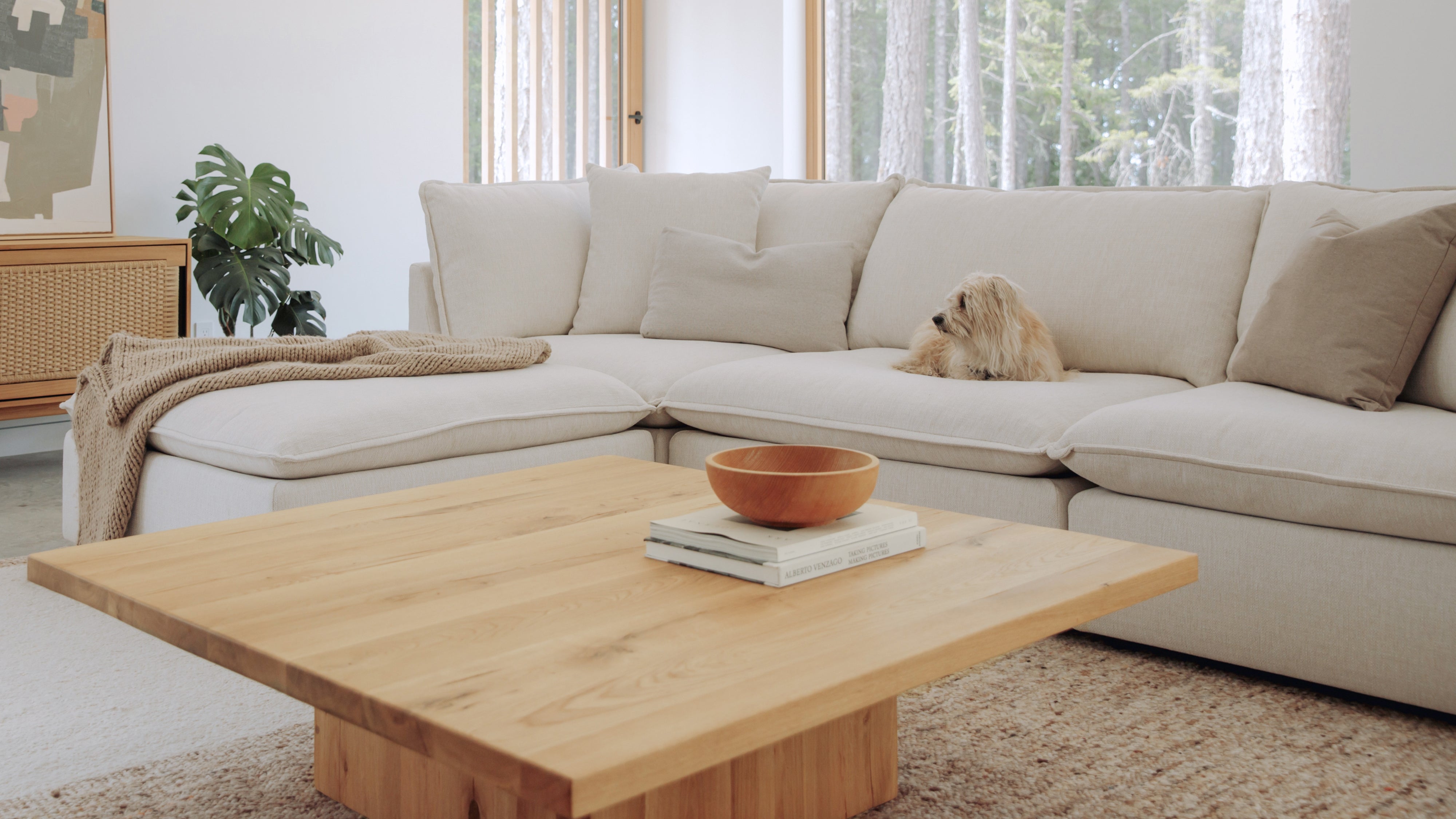 Chill Time 4-Piece Modular Sectional, Birch - Image 3