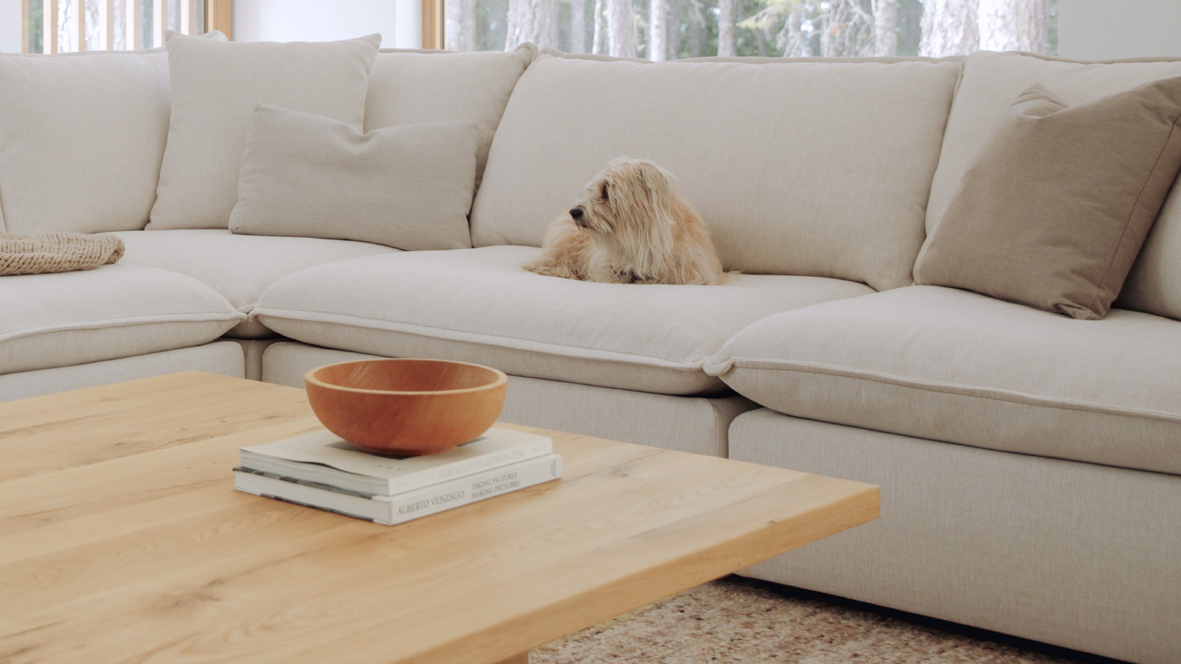 Chill Time 6-Piece Modular U-Shaped Sectional, Birch