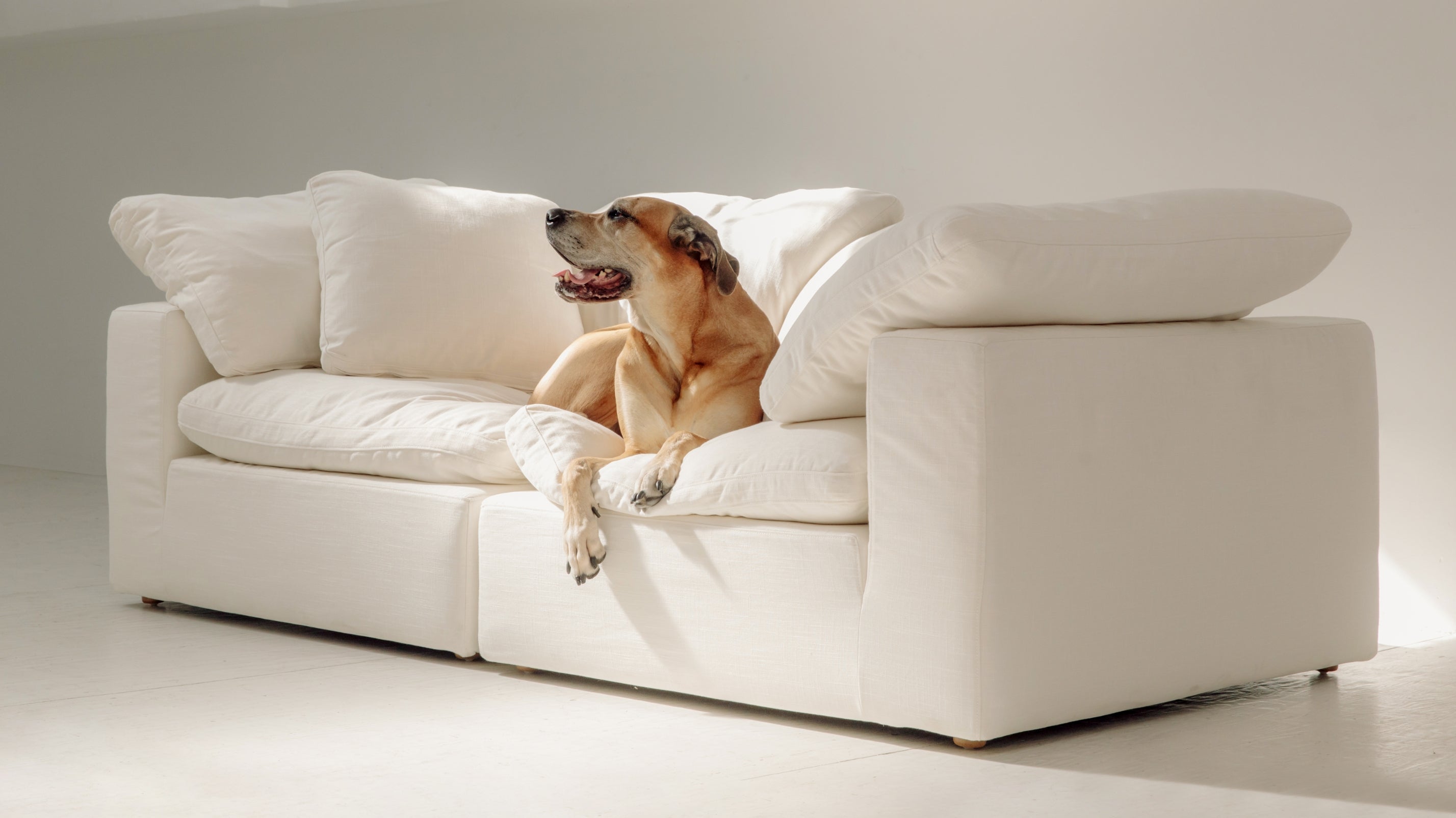 Movie Night™ 2-Piece Modular Sofa, Large, Cream Linen