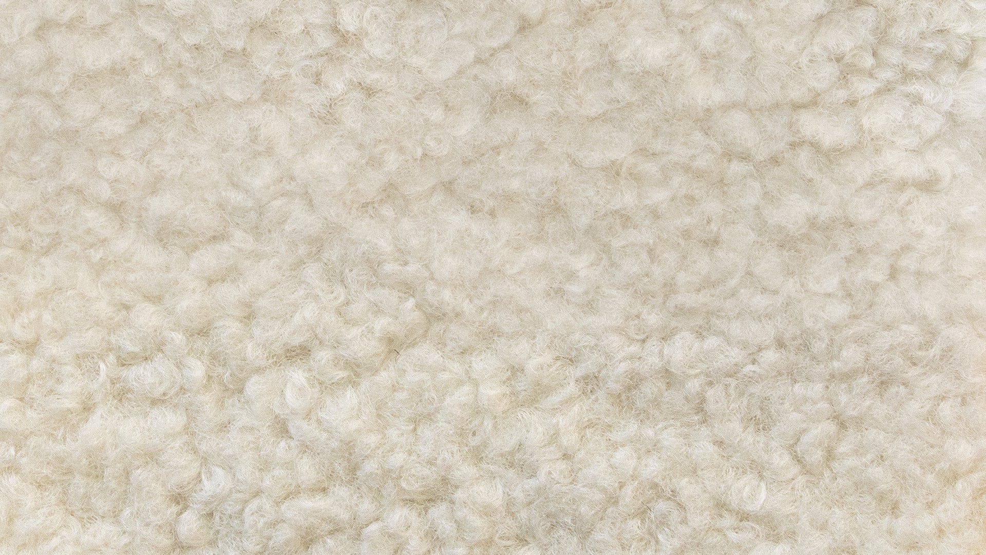 Swatch Shearling
