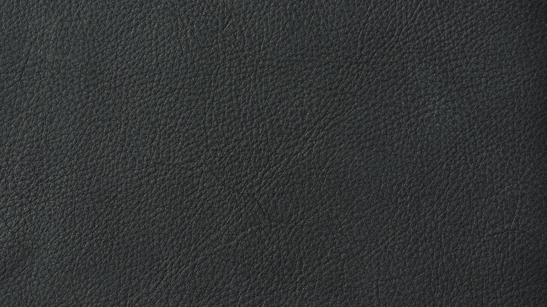 Swatch Coal, Leather