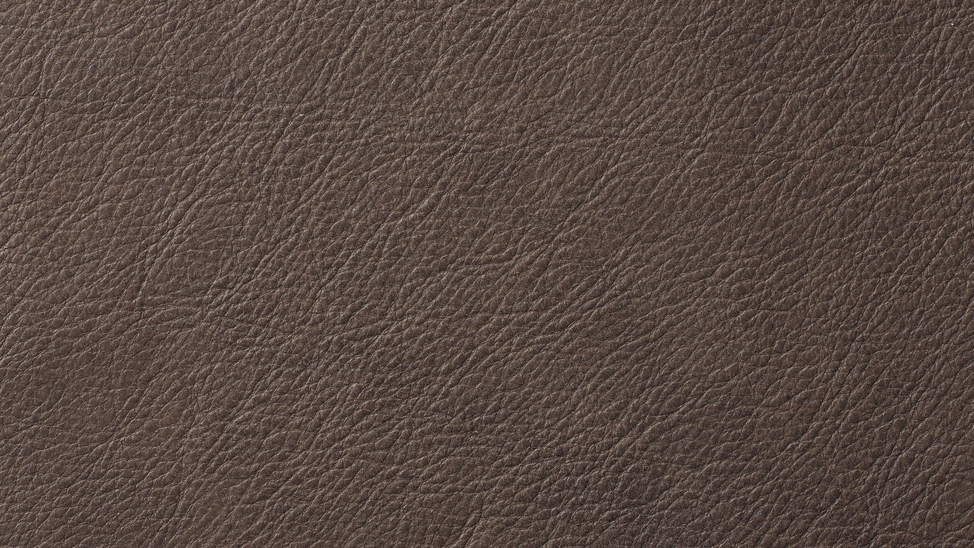 Swatch Cognac, Leather