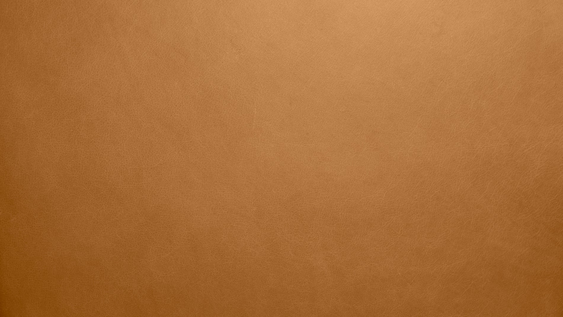 Swatch Golden Tan Leather_image