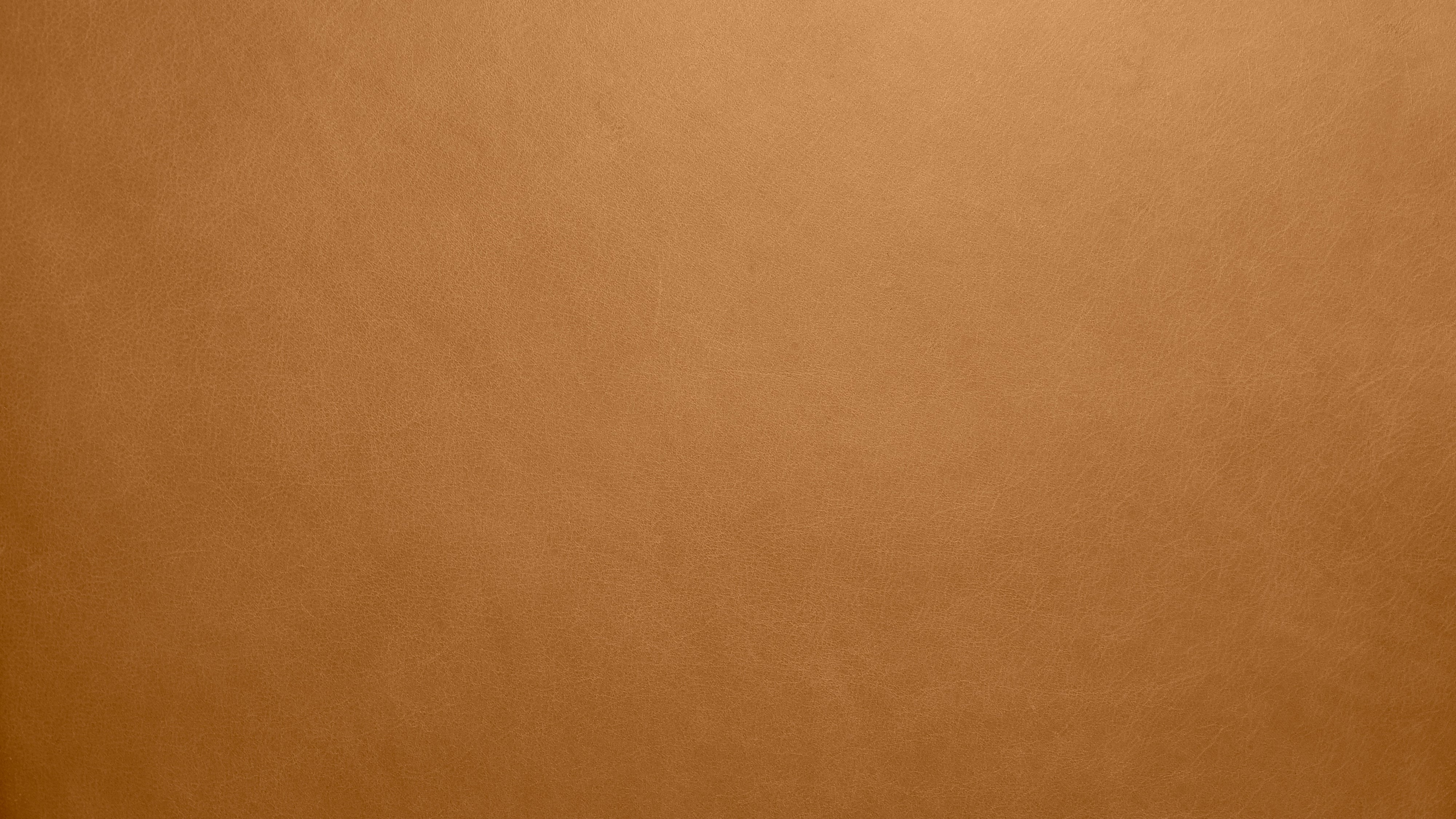 Swatch Golden Tan Leather