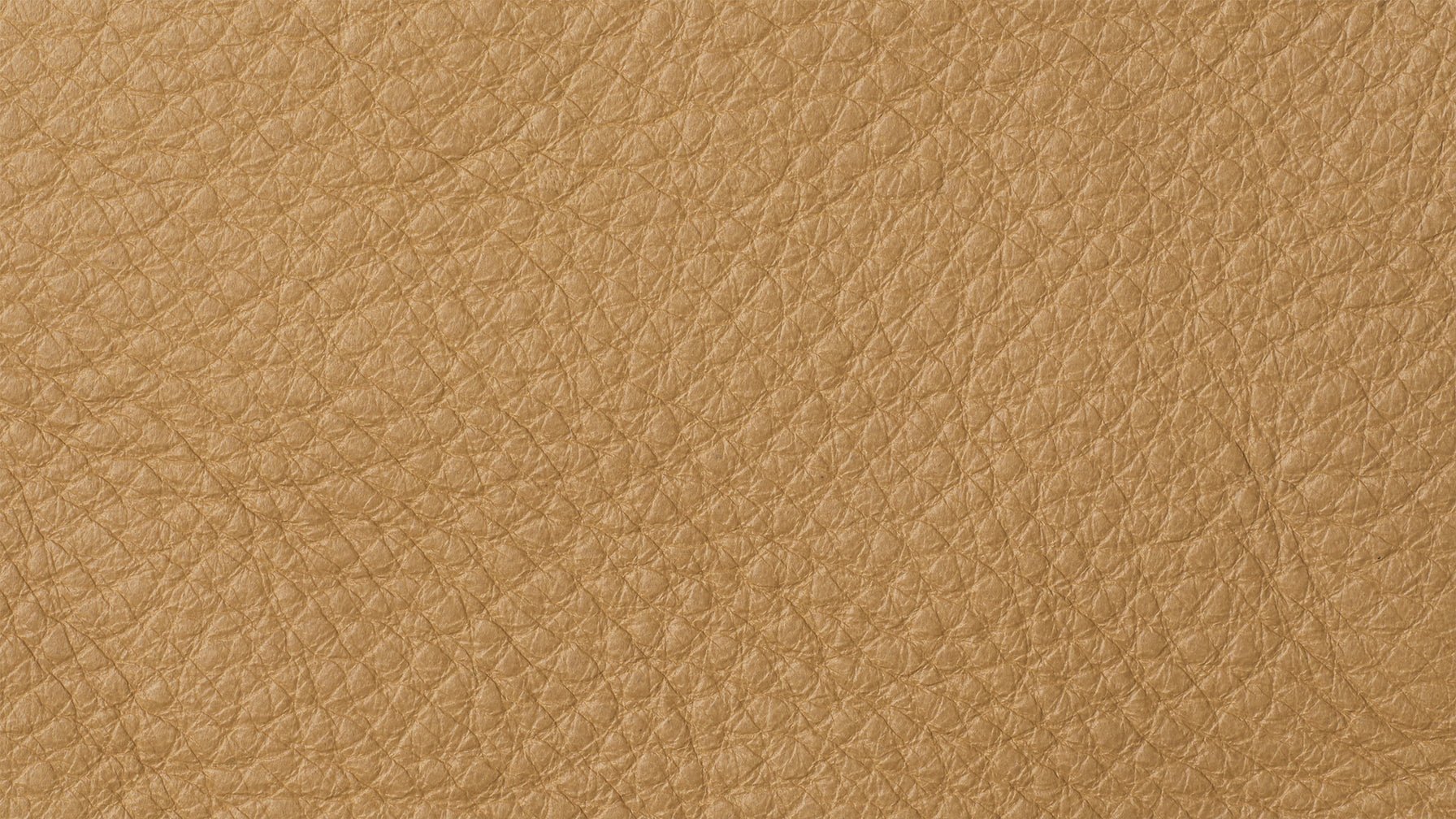 Swatch-Camel