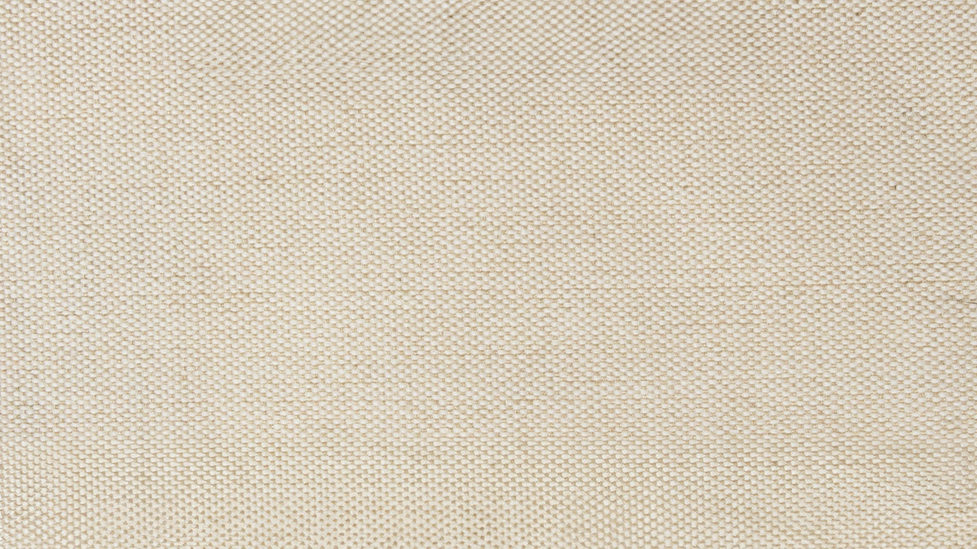Swatch Ivory