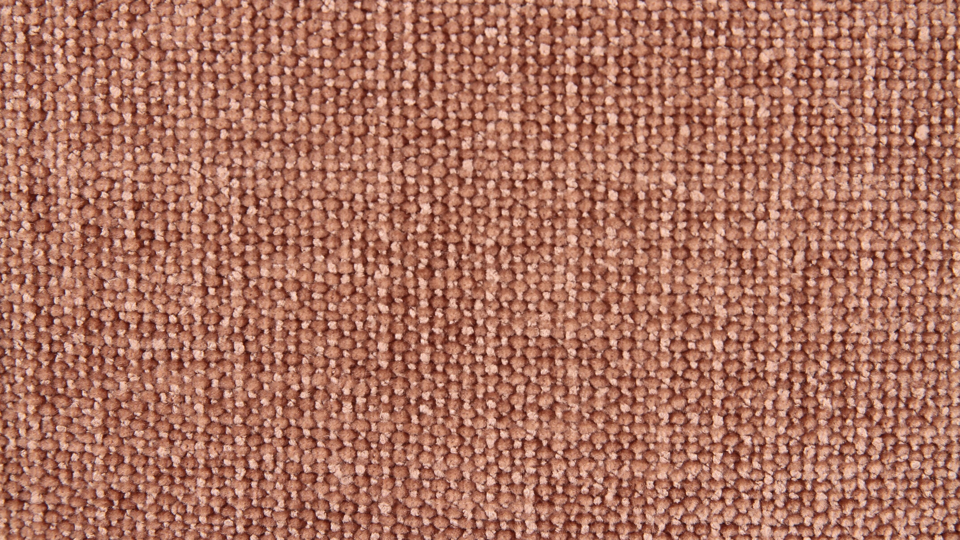 Swatch Paloma
