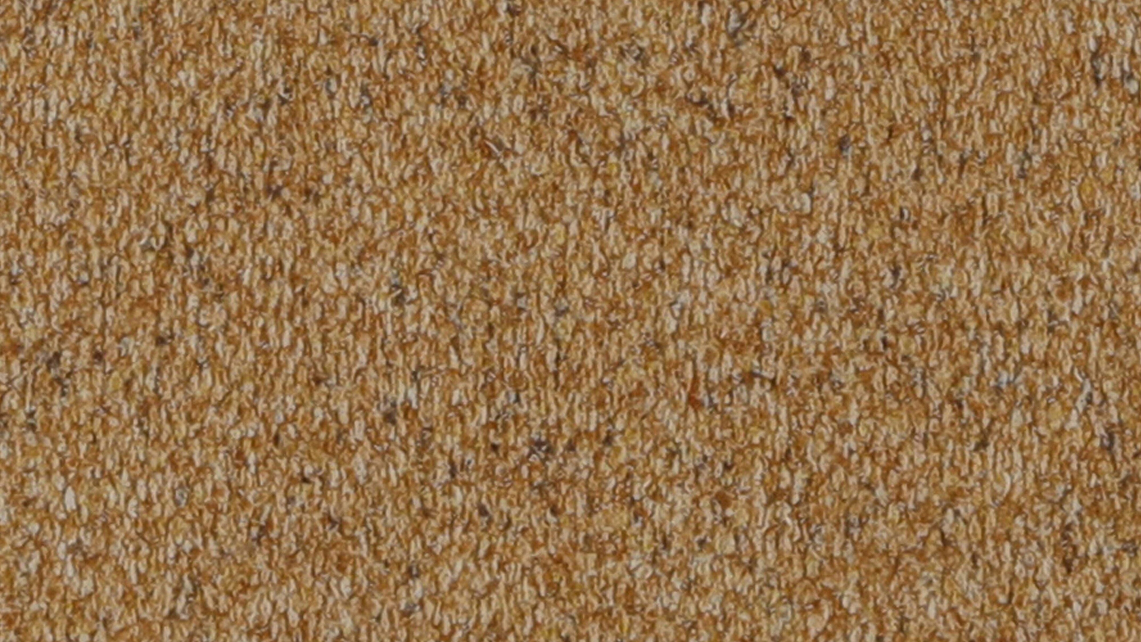Swatch Dandelion