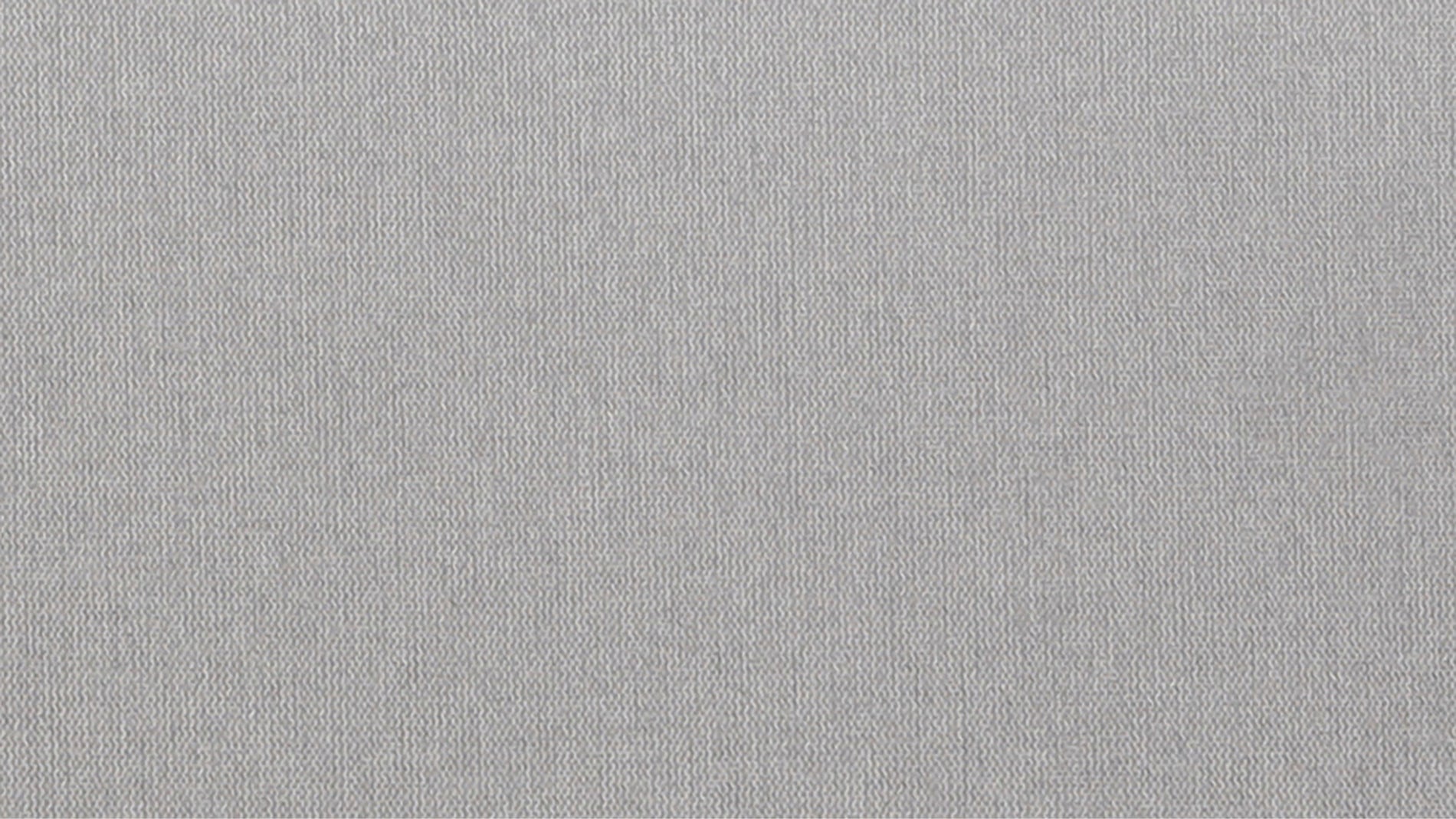 Swatch Silver_image