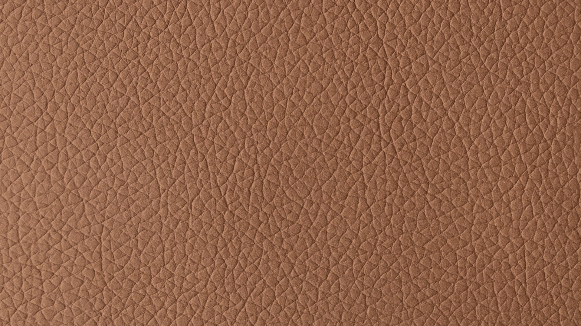 Swatch Brown