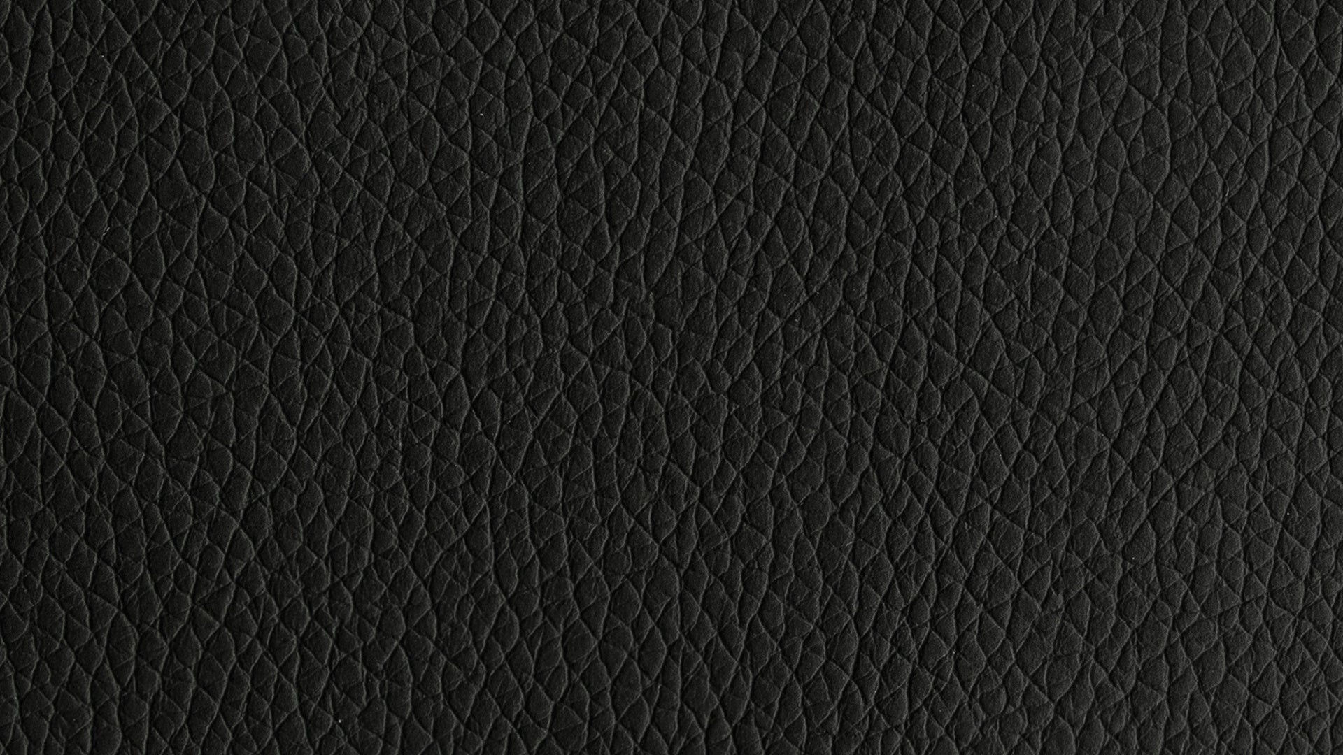 Swatch Black