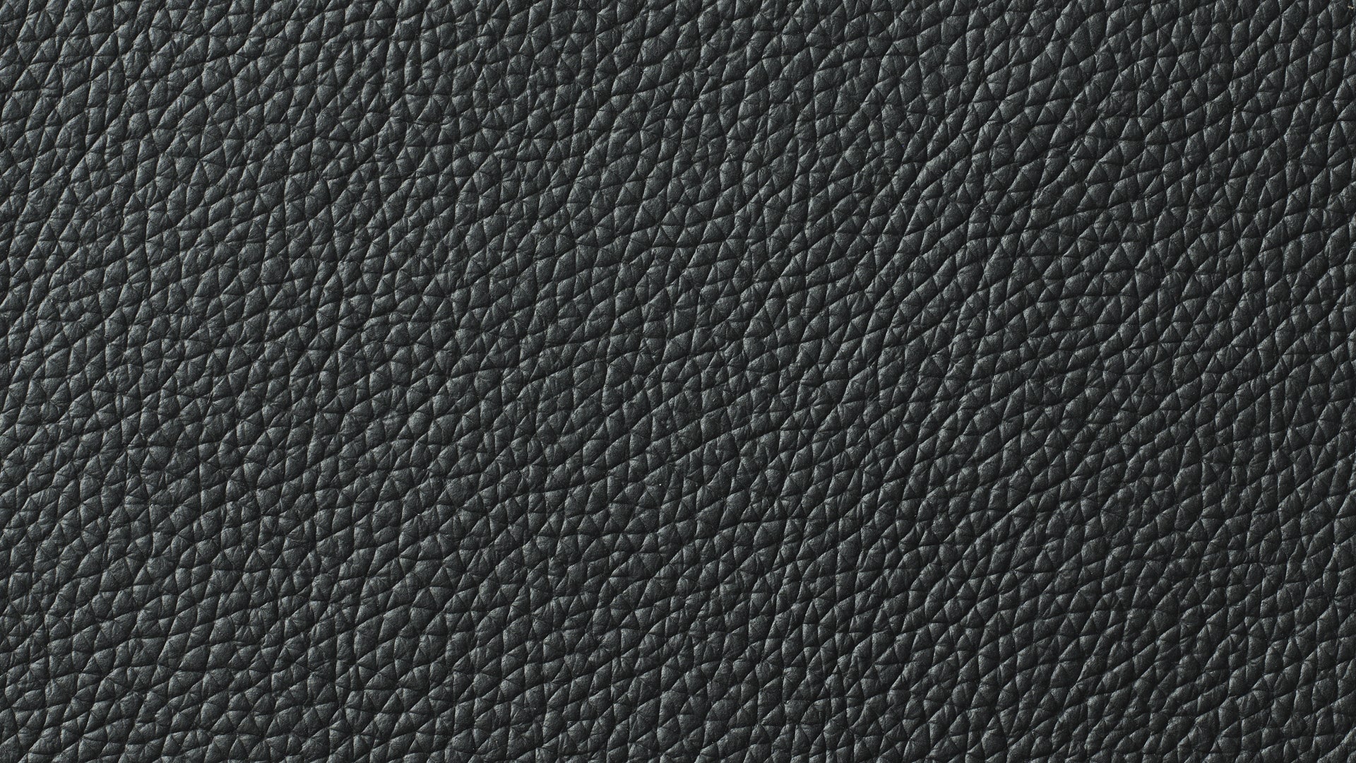 Swatch Black, Leather