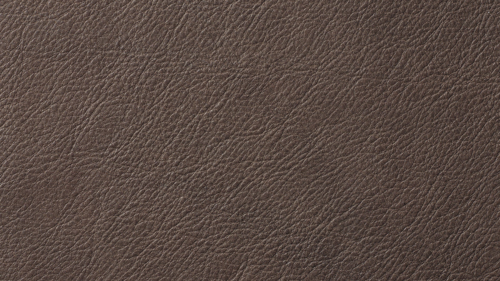 Swatch Cognac, Leather_image