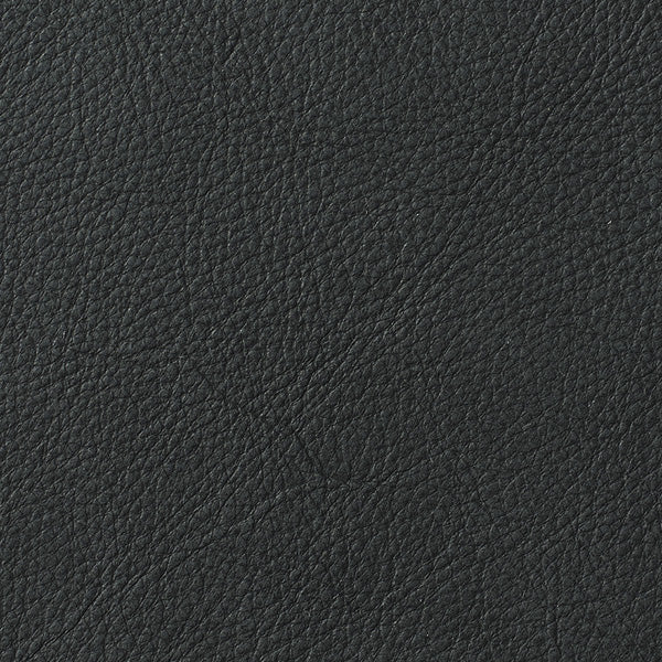 Swatch Coal, Leather - Image 2