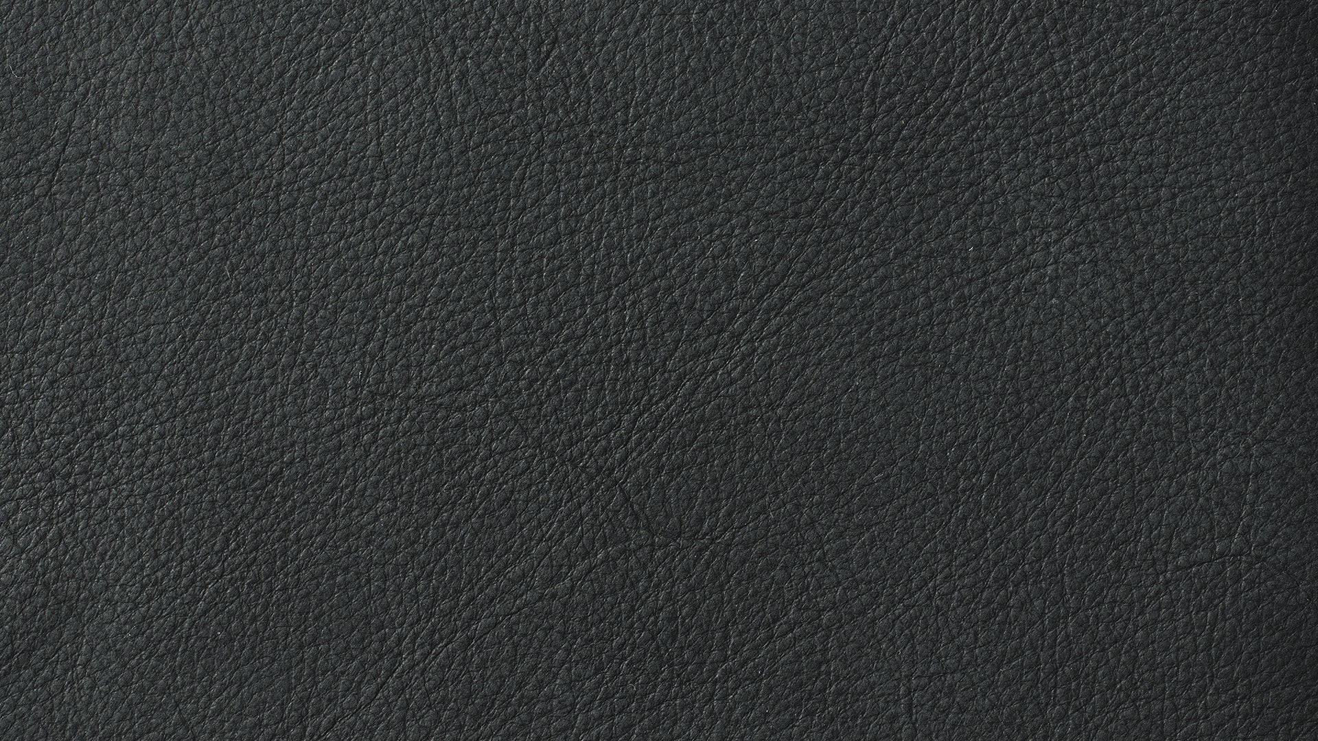 Swatch Coal, Leather - Image 1